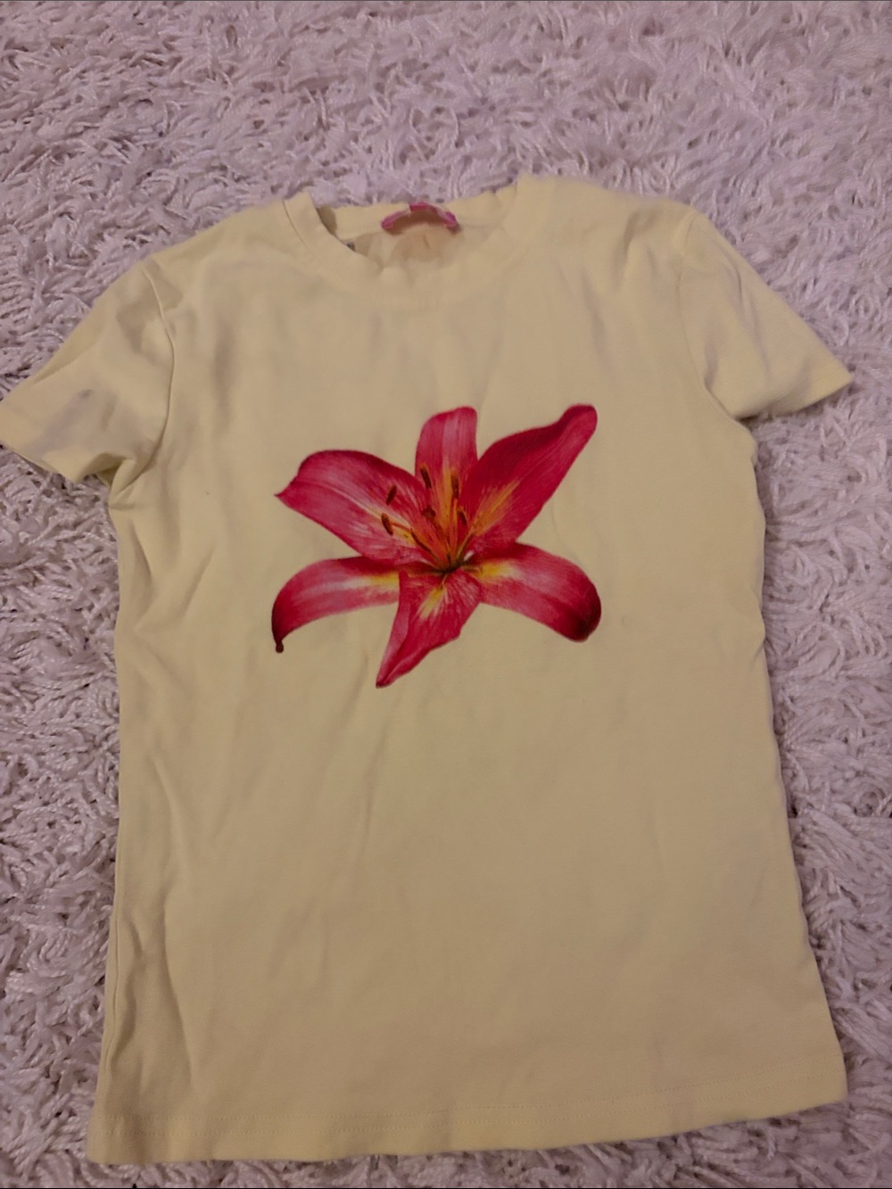 Edikted Cream Short Sleeve Tee with Pink Floral Motif